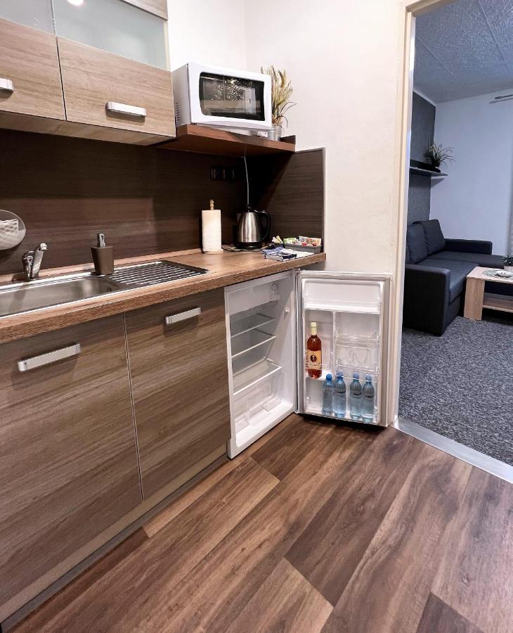 Apartmány Karlovy Vary Kültér fotó